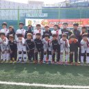 2014.2월14일~2월25일. 금석배 전국초등학교 축구대회. 이미지