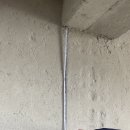 청춘 유도&주짓수 이미지