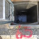 와이디에스 이미지