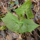 생태민박 이미지