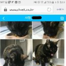 창현동물병원 이미지