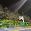 신트리공원 농구장 이미지