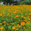 섬안경로당 이미지