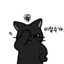 김선정헤어