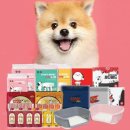 코리아펫 이미지