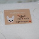 도그조아 이미지