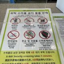 신세대종합화장품 | 제주여행 리뷰 후기 포항경주공항 진에어 카페베네 친절한 사장님의 서비스가 따뜻했던 카페 햄치즈...