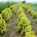 경산농장 이미지