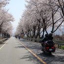 참한우농장 이미지