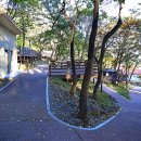 장척힐링 농촌체험마을 이미지