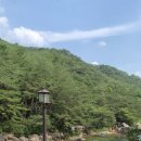 느티나무하우스 이미지