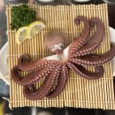 옥동돌문어(자연해산물전문점) | "돌문어 통찜 35,000원?" 부산 연산동 맛집 꺼꾸잽이 초장집 후기