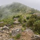 (주)선경 | 지리산 우중 연하선경