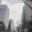 강남-241 네이버블로그