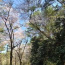 노을지는갯마을 이미지