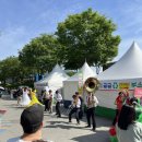 섬진강 기차마을 | 곡성장미축제 섬진강기차마을 방문후기 주차정보 입장팁 먹거리