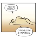 자신만만 스피치 | [토스 IH 후기] 토익스피킹에 35만원 태운 썰💀🔥