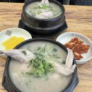 포항시외버스터미널 | 포항 시외버스터미널 맛집 언양닭칼국수 닭곰탕 국물 진해서 놀란 후기