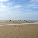 코지캐빈 펜션 이미지