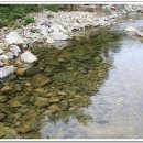 새이모퉁이 이미지