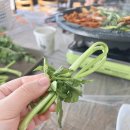 웅이농장 이미지