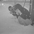 보경쉼터 이미지