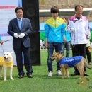 춘천애견체험박물관 이미지