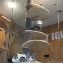 청주지웰동물병원 이미지