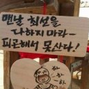 행복 탐구 보고서 요약 이미지