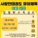 명지 키즈 태권도 이미지