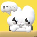 이모든여행