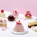 델리카한스 이미지