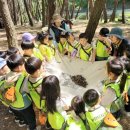 천령유치원 이미지