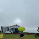 노림목장 | [제주] 제주 구좌 비자림 근처 뷰 맛집 카페 편린 비오는 날 가기 좋은 제주 카페 초록초록 뷰