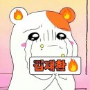 이* - 해남군 | 이*