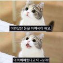 필세차장