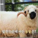 포차종점