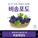 [운암동태권도]🍇비송태권도 영화상영 &amp; 포도따기체험 후기🍇