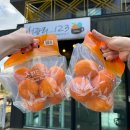 호도귤정원 이미지