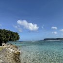 로이스타코(Roy´s TACO) 문래점 | 괌 여행🏖️ 아이 러브 괌❤️