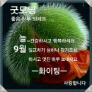 까치소리 Daum카페