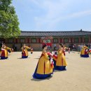 2024 무용여행 이미지