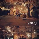 서여고 앞 이미지