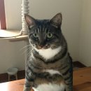 에피세리 정원