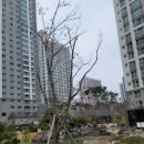 (주)대성종합관리 이미지