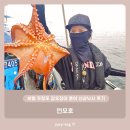 장원민박 | 보령 무창포 갑오징어 문어 선상낚시 후기 - 껀모호