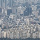 압구정-245 이미지