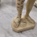 경희탑한의원 이미지