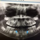 아이숲치과의원 이미지