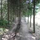 축령산 산소길(2구간) 이미지